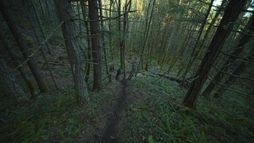 A man descends a steep mountain bike trail in the green forest