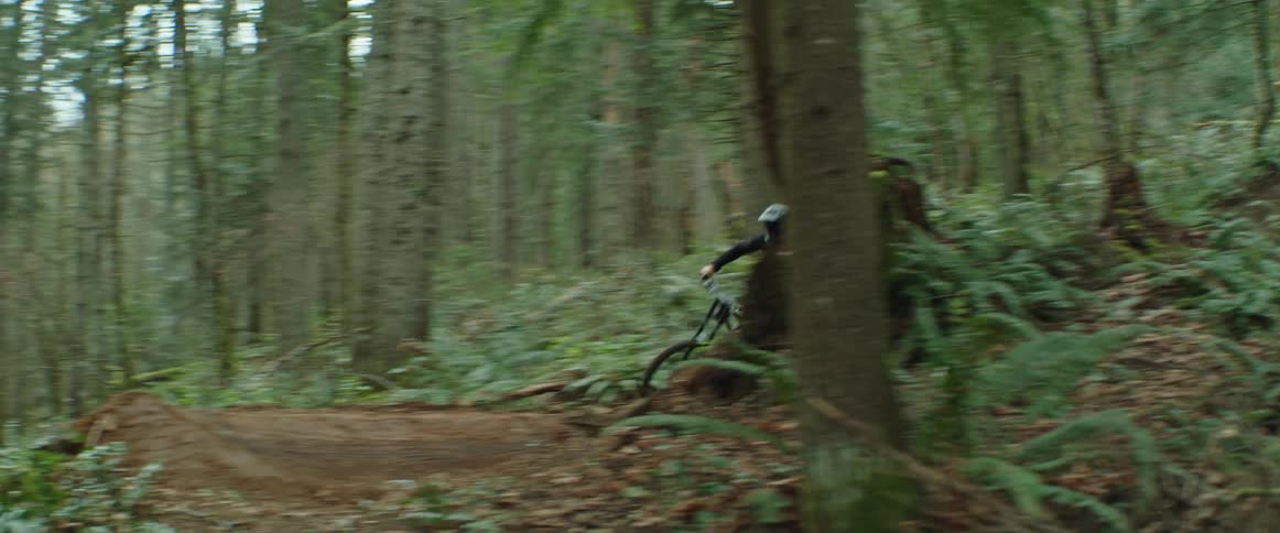 A person hits a series of jumps through the forest on their mountain bike