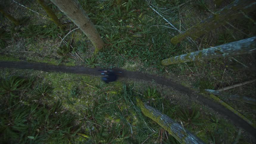 Bird's eye view of mountain biker speeding through ribbon of forest trail