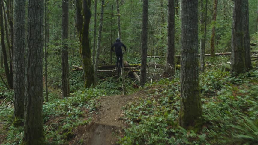 A cyclist hits a forest jump and performs a no-hander trick on trail