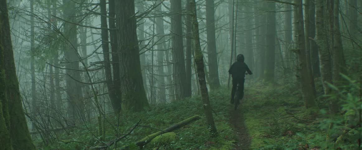 A bicyclist rides a ribbon of trail through a lush, green, foggy forest