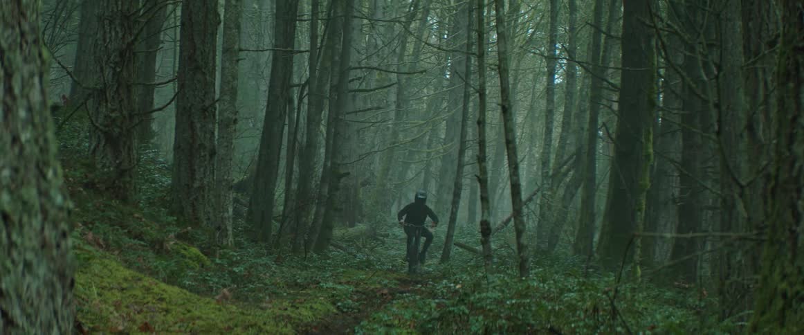 A bike rider emerges from the dense forest fog riding a winding ribbon of trail