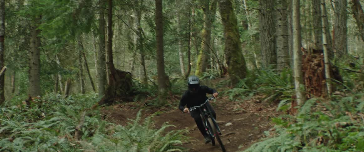A mountain biker rides fast on a dirt trail jumping and whipping their bike
