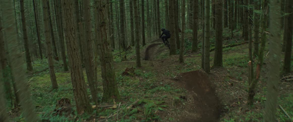 A mountain biker rides down a fast, twisting trail in the forest