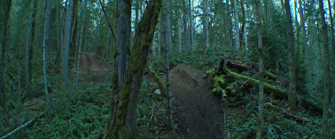 A mountain biker hits a series of larges jumps through the thick forest
