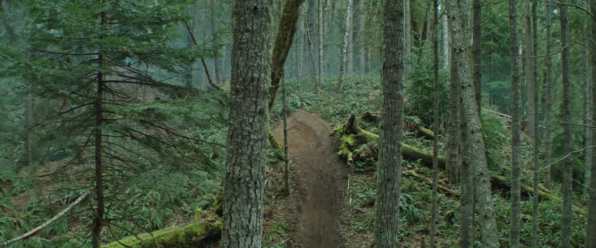 Person rides their mountain bike through a sweeping dirt trail feature in the woods