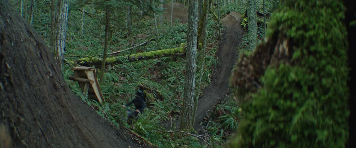 A person riding a mountain bike in the forest hits a wooden ramp and performs a tabletop trick