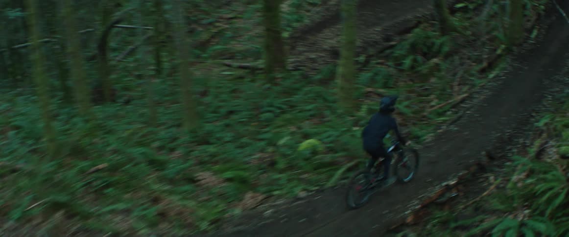 A biker hits a sequence of jumps in a forested trail
