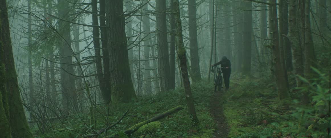 Bicyclist walks along dirt path through foggy forest pushing a bicycle