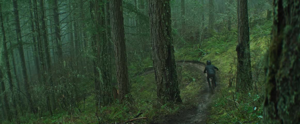 A person rides a bike down a thin ribbon of trail in a dark, rainy forest