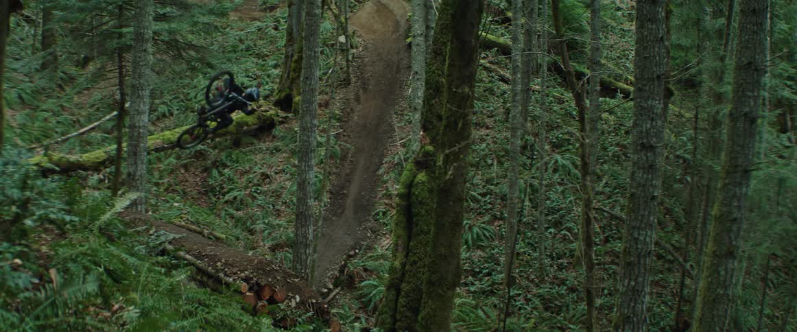 Bicyclist hits a large jump and performs tabletop trick in vibrant forest