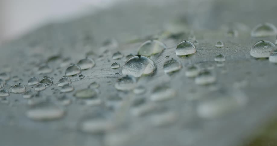 Translucent bubbles of water shine while sitting on surface of thinly cracked concrete