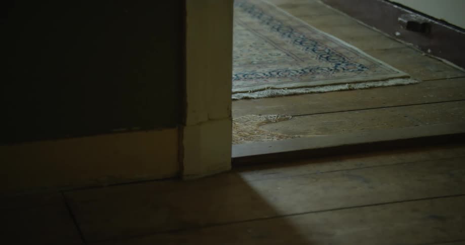 A pool of water runs along the wooden floor of a house