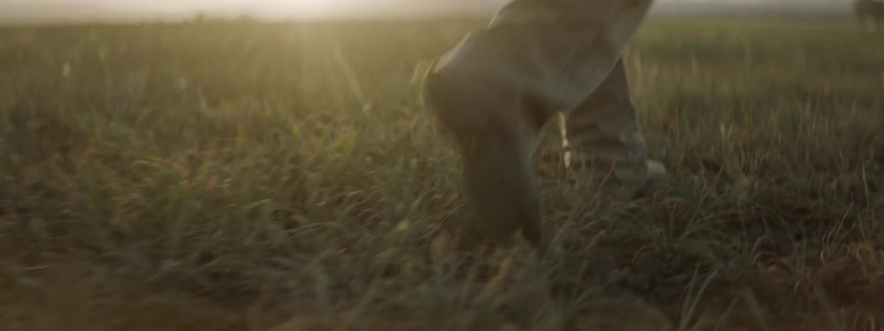 A persons feet and lower legs are shown walking through the grass towards a bright sun on the horizon