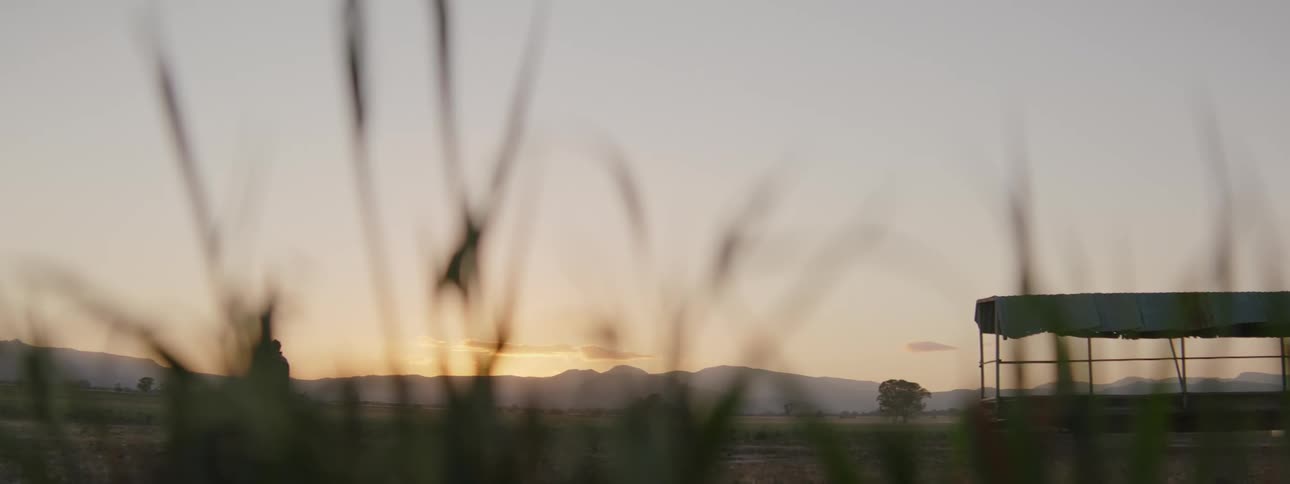 A man is walking in a rural area at dusk