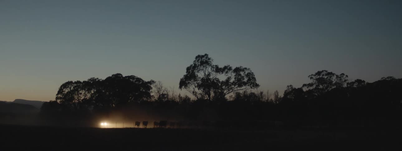 A landscape with cattle and a vehicle with trees the sky and clouds in the background