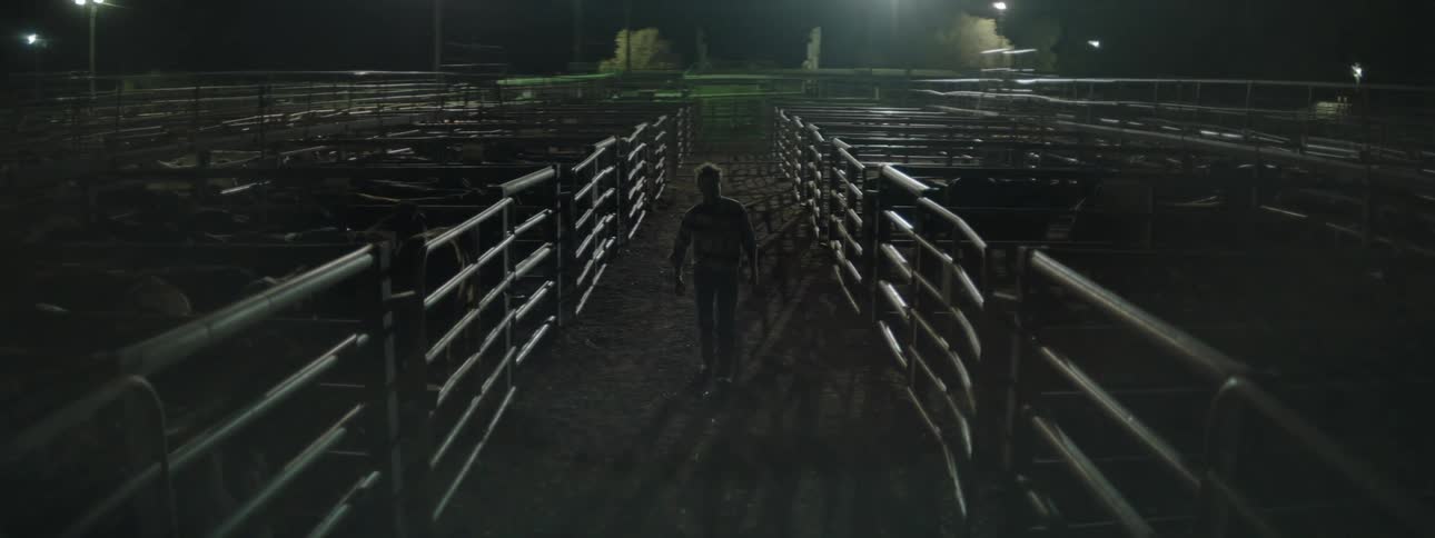 A man walks on his ranch past corralled cattle