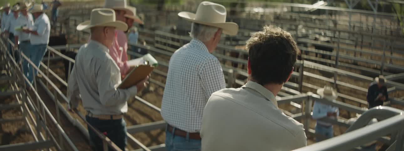 Cowboys looking at livestock on a ranch in the daytime