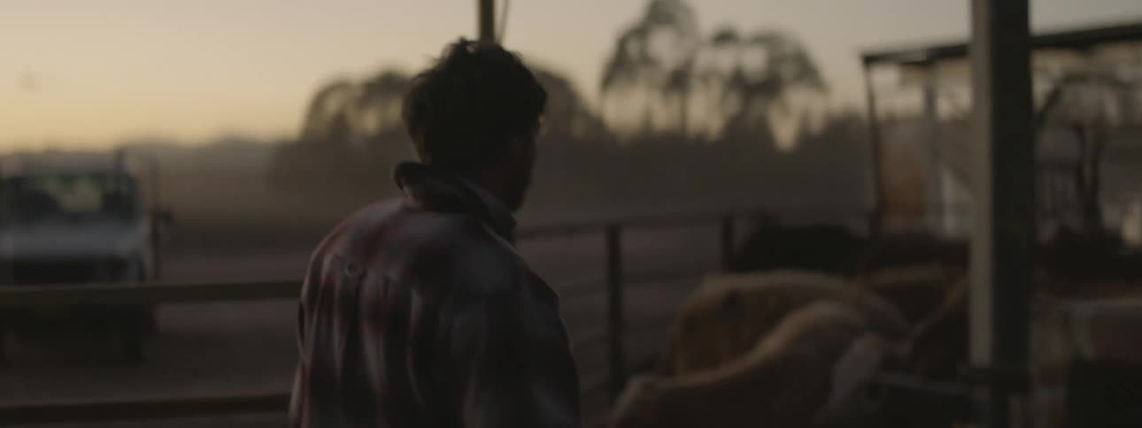 A man opening a fence to a pen with cattle with the sky and clouds in the background
