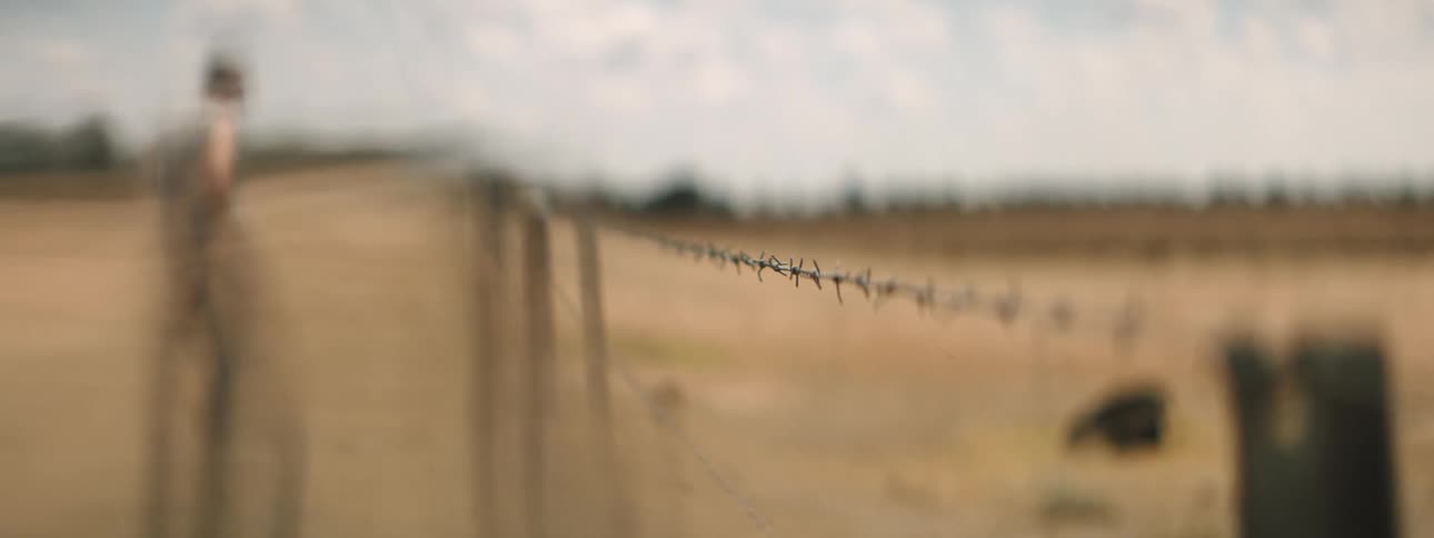A close up view of barbed wire on a farm