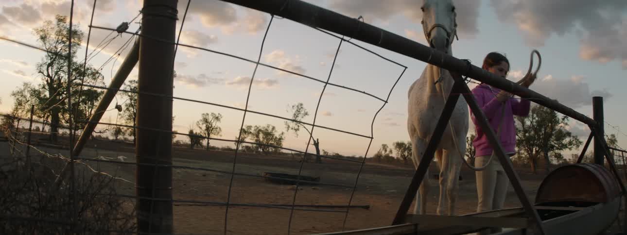 A girl is walking her horse on farmland at dusk