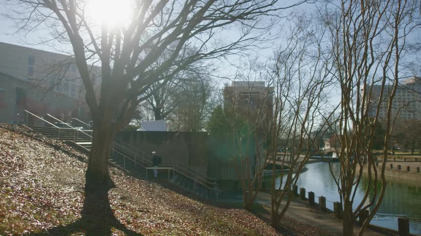 Bare trees in a city park on an autumn day