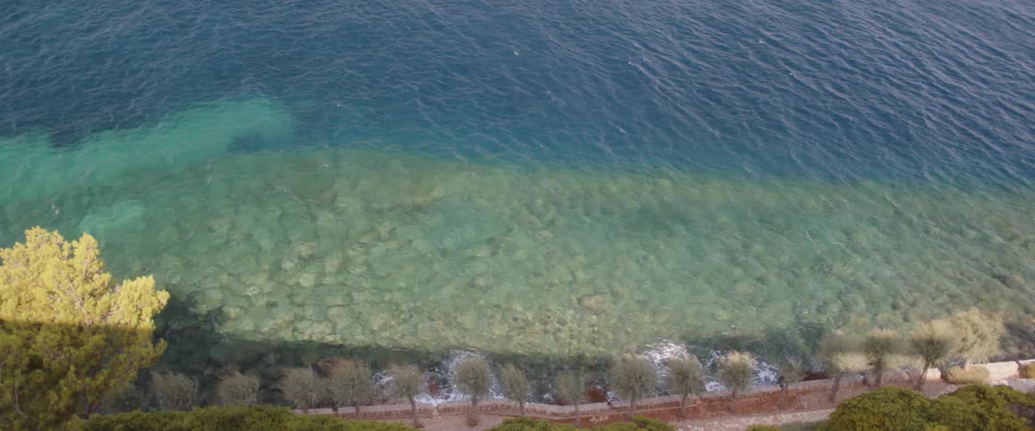 Rippling water moves along a shoreline that is lined with a row of planted trees