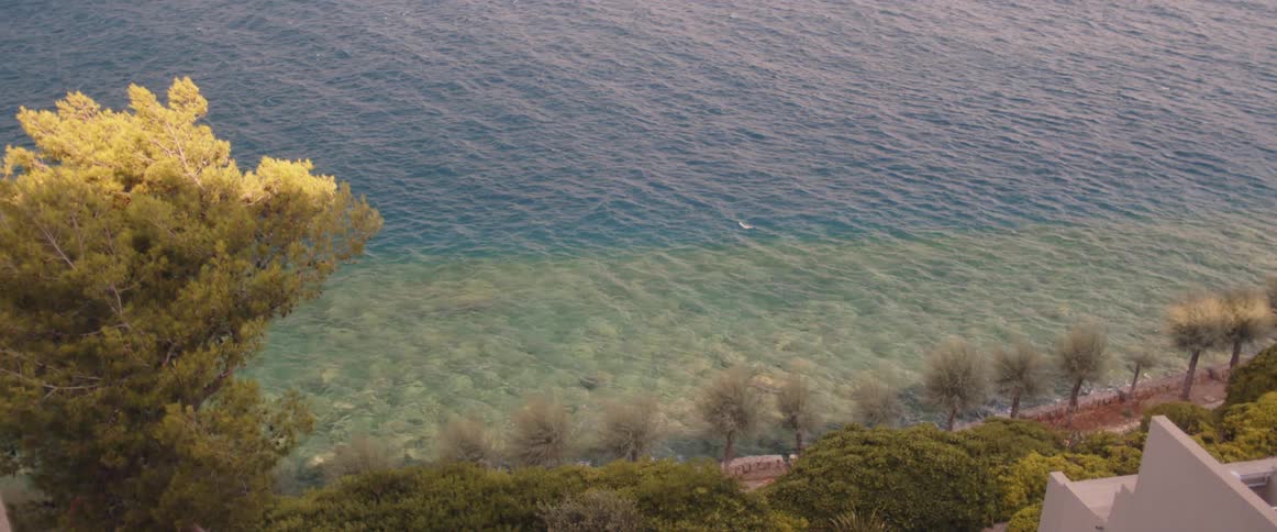 Trees next to a body of water with rippling waves