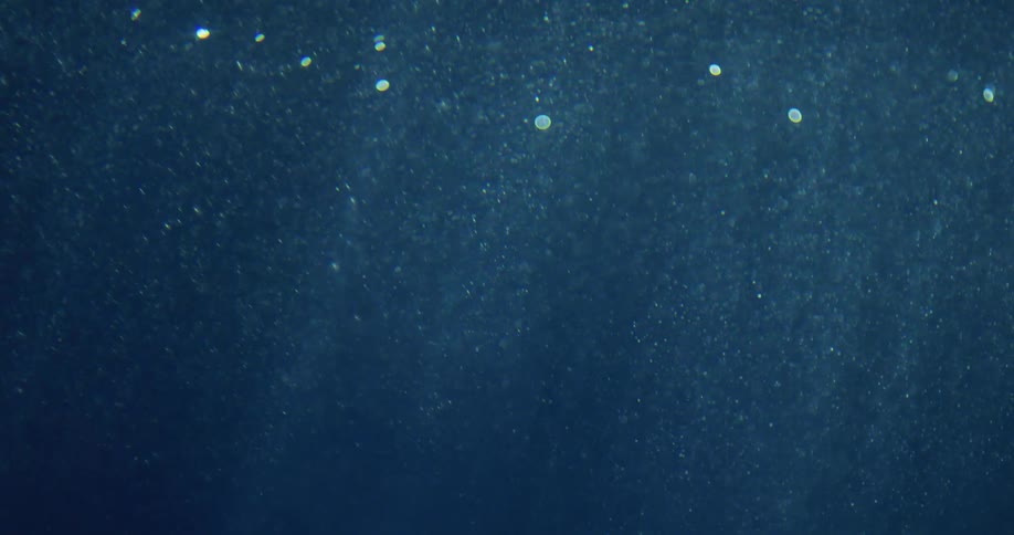 Streams of sunlight highlight air bubbles under the sea