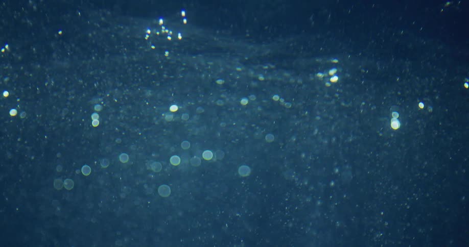 Particles and shiny disks glare as they float on waves