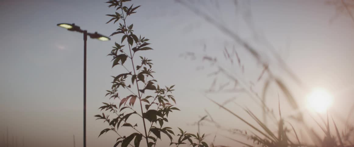 The sun shines brightly in the sky above a pole with lights on it and some small plants