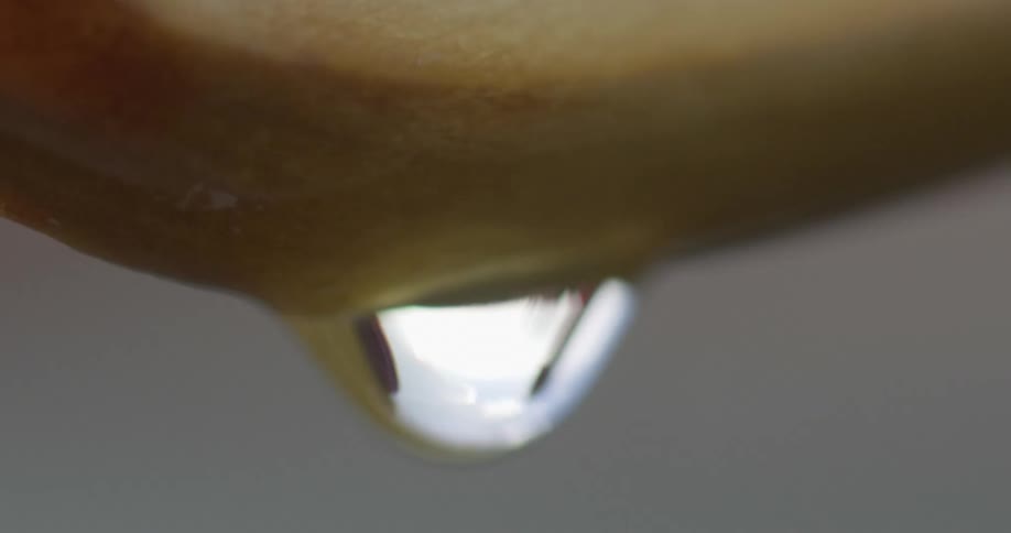 A close up of a water droplet dropping