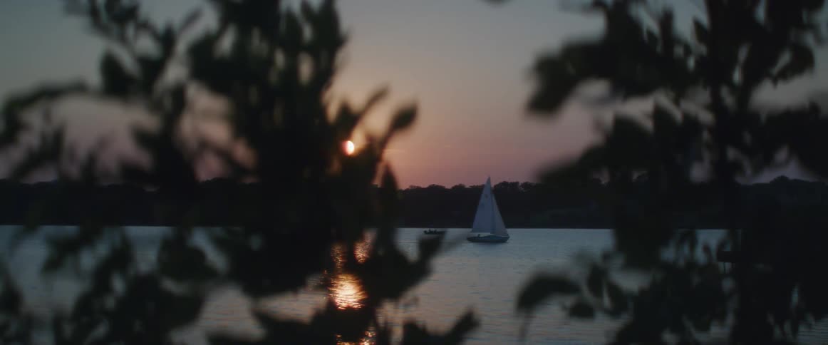 A sailboat can be seen traveling behind the branches