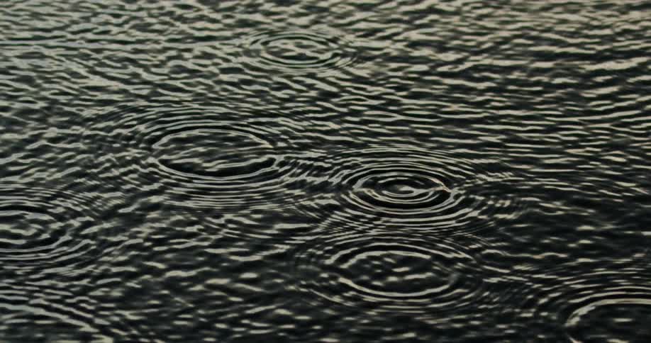 Raindrops falling into water and causing ripples