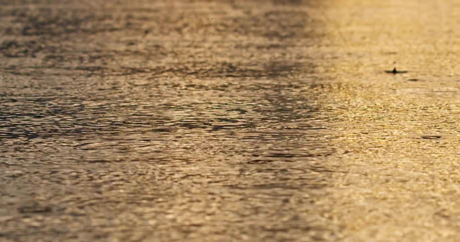 Water drops hit flowing water reflecting light creating concentric ripples