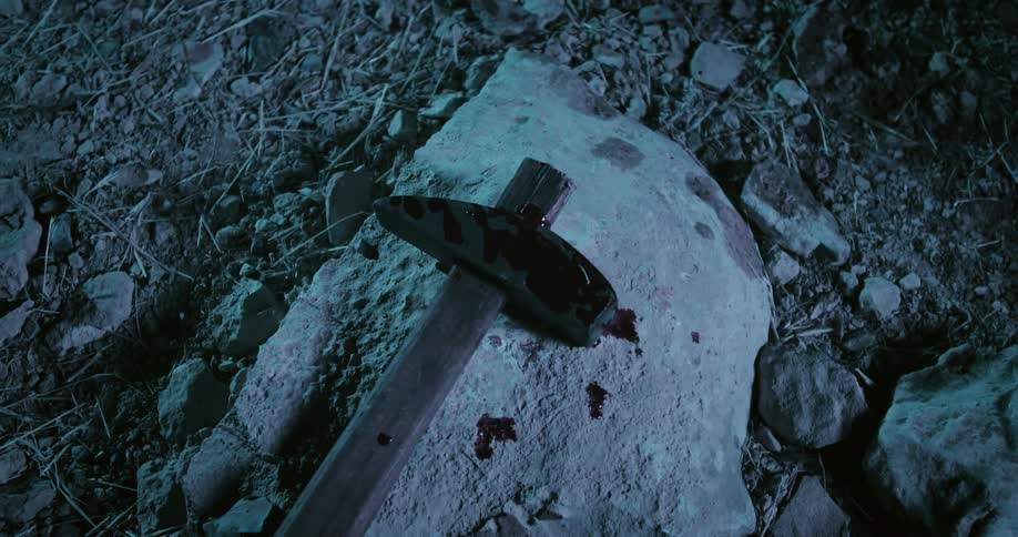 An ax is laying on a rock