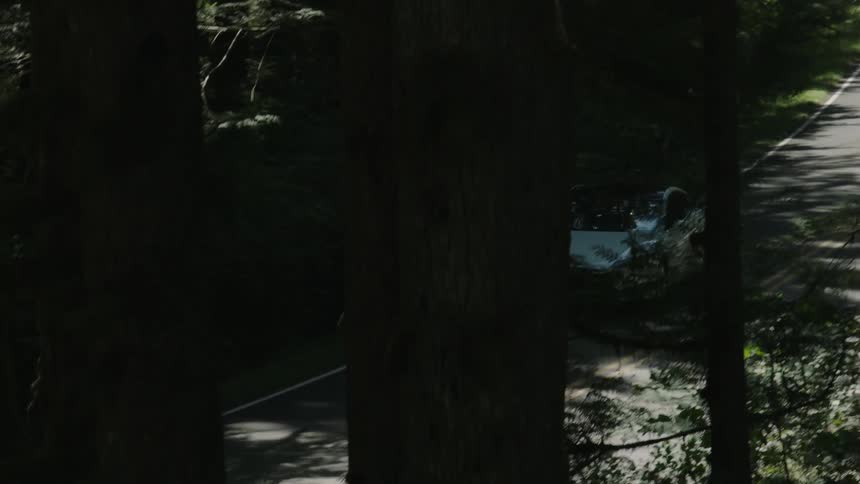 A white car driving down tree shaded road