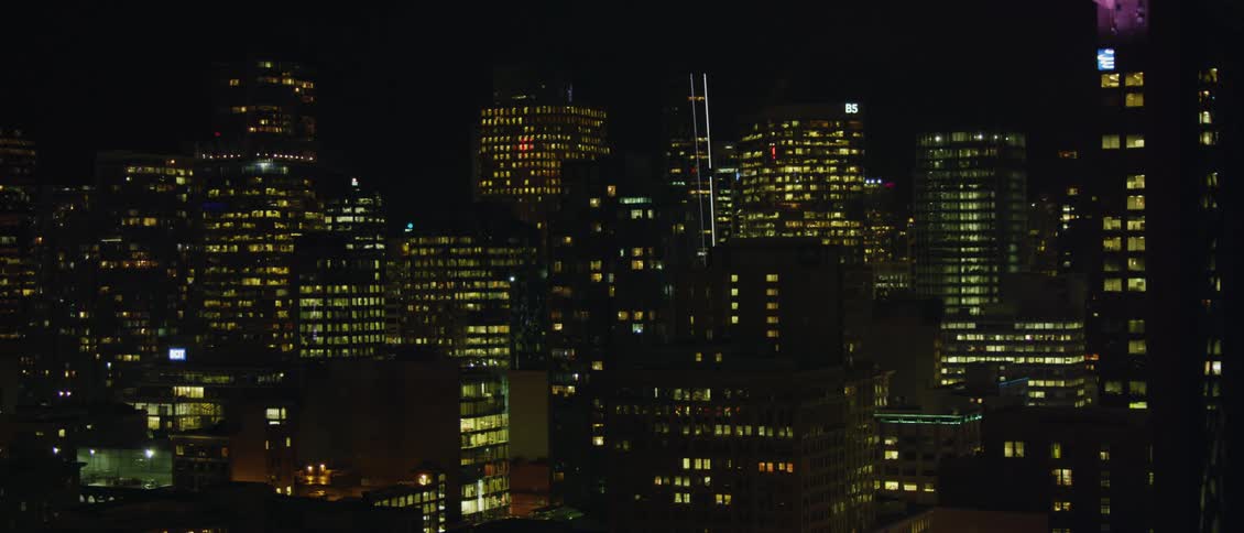 Lights on the skyscrapers and bulidings in the city skyline at night