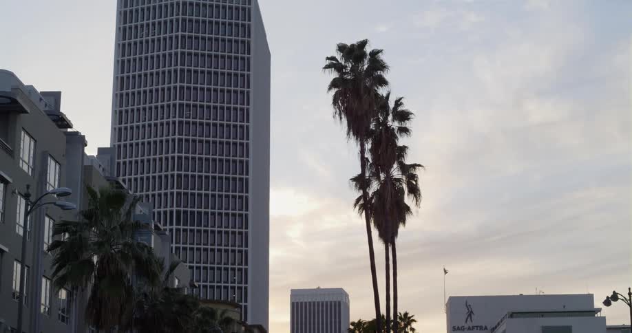 Bird hops around palm tree sitting next to apartment building next to business buildings under a cloudy sky