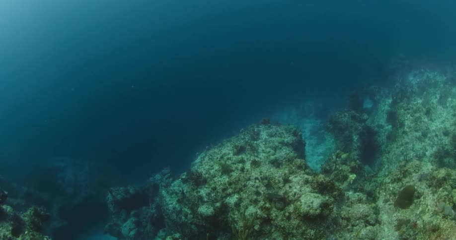 Underwater footage of a coral reef underwater on the dark blue ocean water