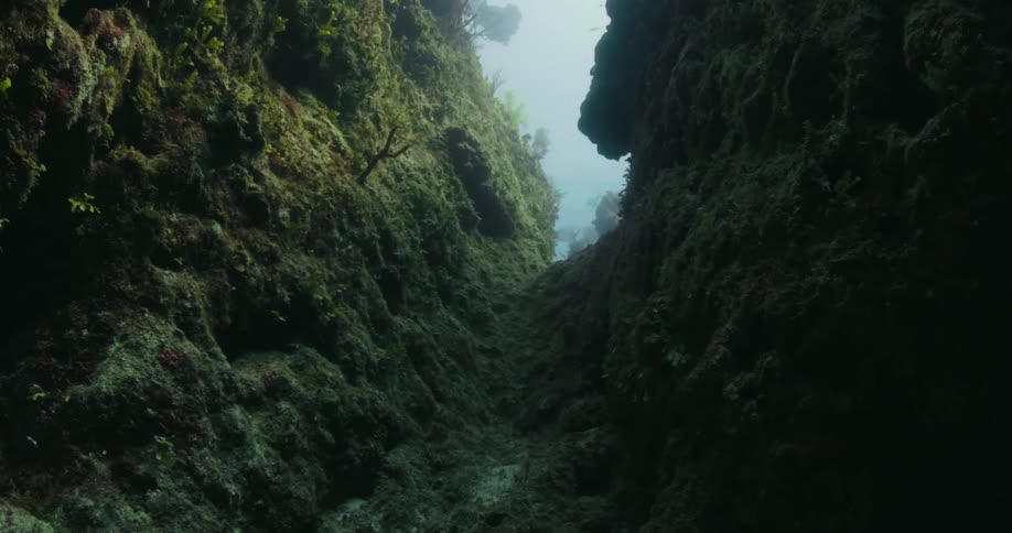 A ravine on the sea floor during the day