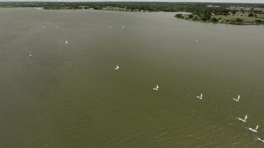 Aerial view of birds flying over a body of water