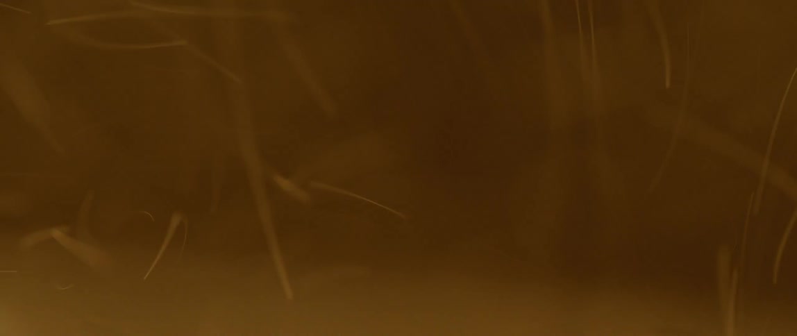 Particles float and swirl in the air