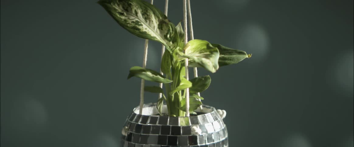 A woman putting a plant into a disco ball hanging planter