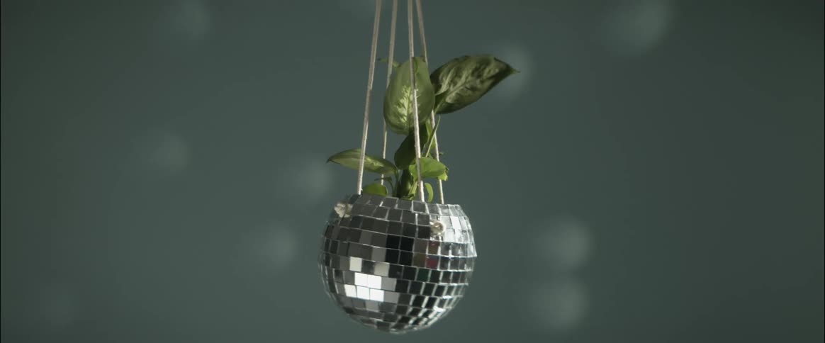 Light shines and reflects off of a spinning disco ball planter casting shadows on a wall