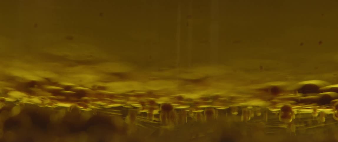 Yellow bubbles are inside liquid