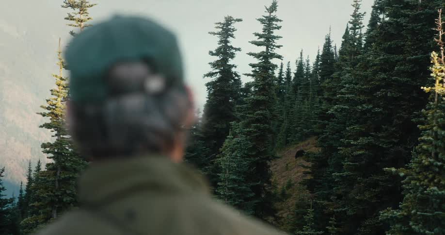 Man with green cap and coat looks at bear in the forest