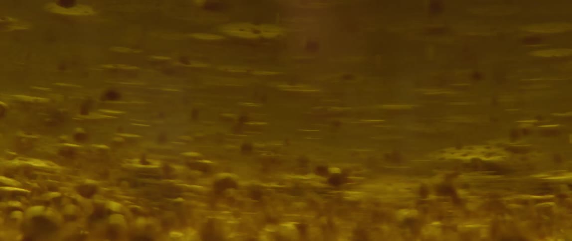 Small bubbles stir inside of yellow liquid