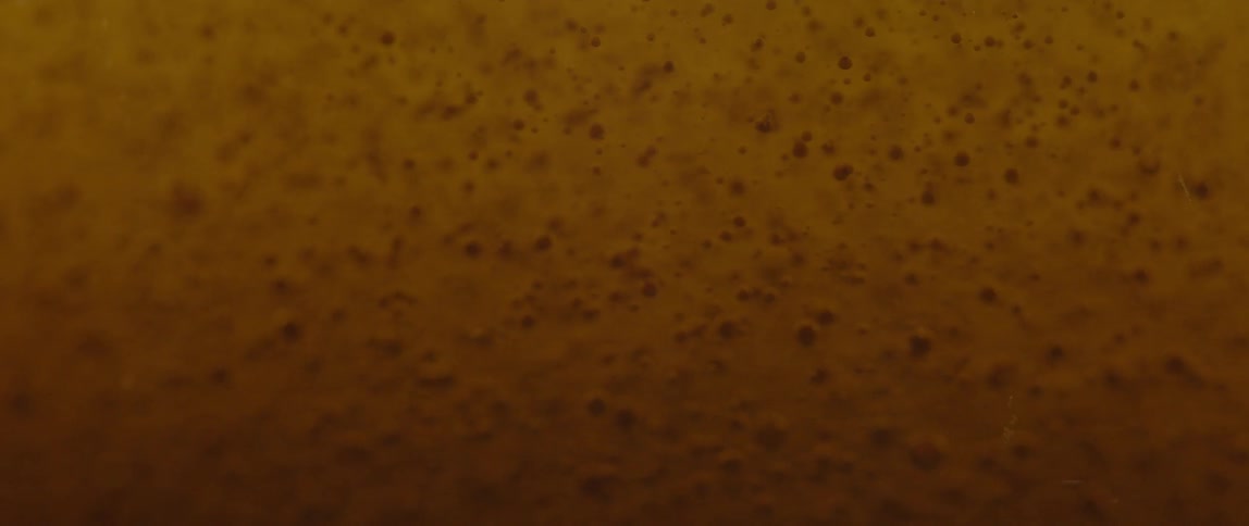 Abstract footage of a liquid containing bubbles coming into focus
