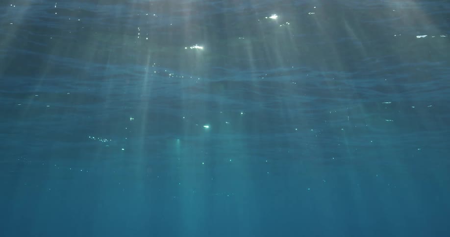 An underwater view of the ocean surface on a sunny day